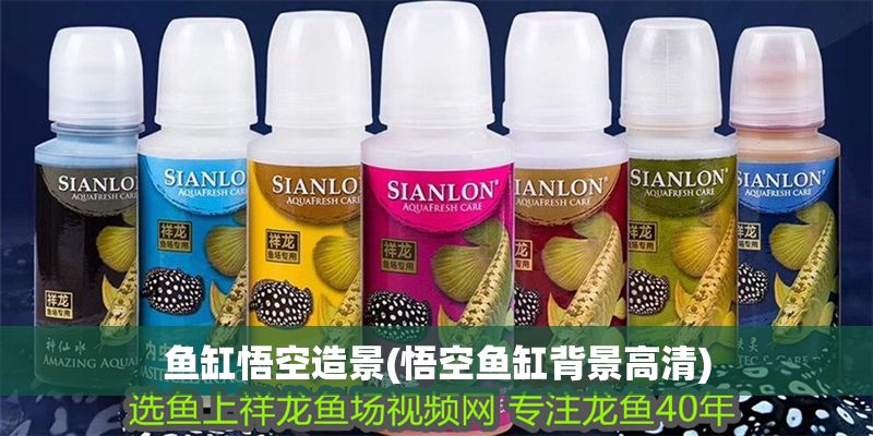 魚缸悟空造景(悟空魚缸背景高清)