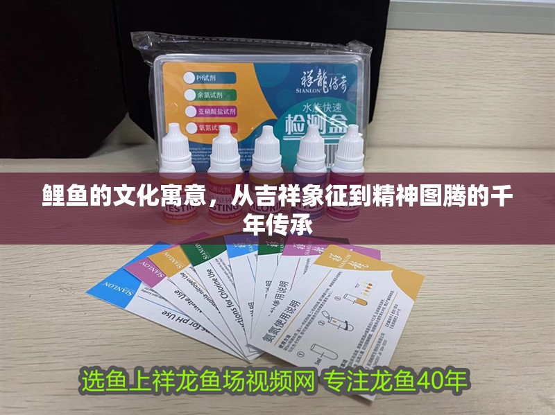 鯉魚的文化寓意,從吉祥象征到精神圖騰的千年傳承 龍魚百科 第1張 鯉魚的文化寓意,從吉祥象征到精神圖騰的千年傳承 鯉魚的文化寓意,從吉祥象征到精神圖騰的千年傳承 龍魚百科 第1張