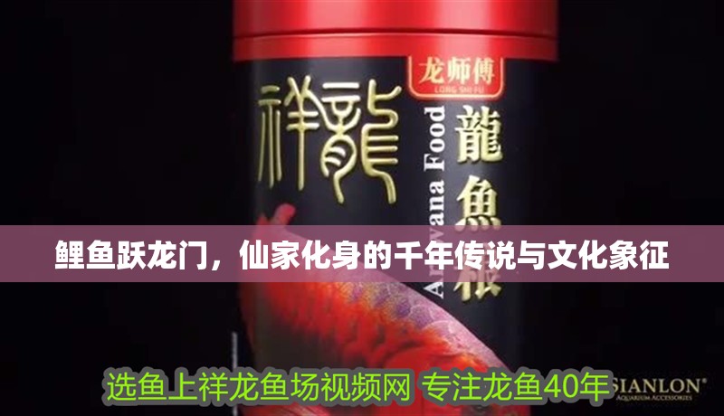 鯉魚躍龍門，仙家化身的千年傳說與文化象征