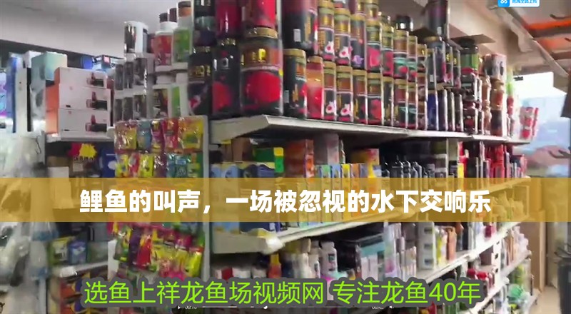 鯉魚的叫聲，一場(chǎng)被忽視的水下交響樂(lè)