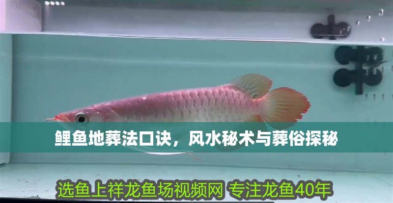 鯉魚地葬法口訣，風水秘術與葬俗探秘