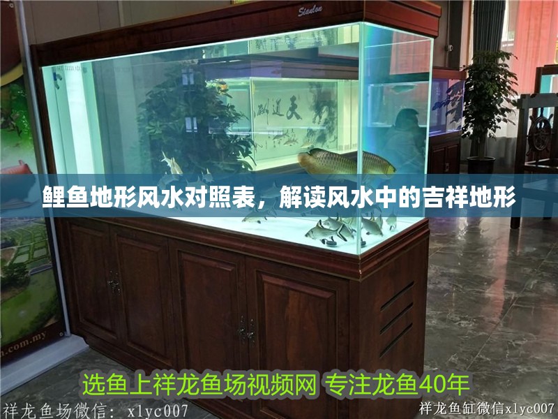 鯉魚地形風水對照表，解讀風水中的吉祥地形