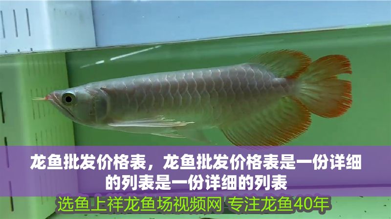 龍魚批發價格表，龍魚批發價格表是一份詳細的列表是一份詳細的列表