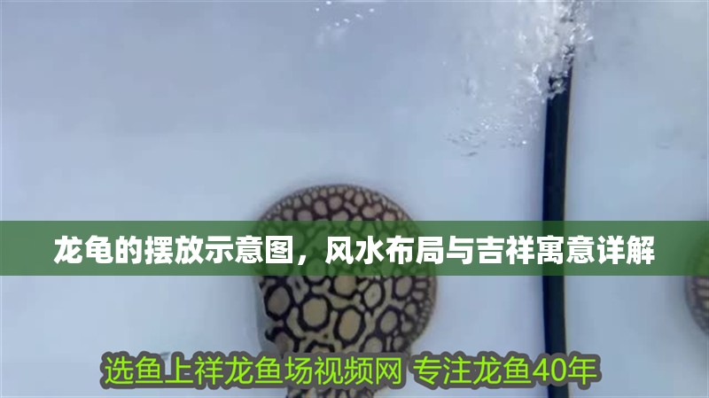 龍龜?shù)臄[放示意圖，風(fēng)水布局與吉祥寓意詳解