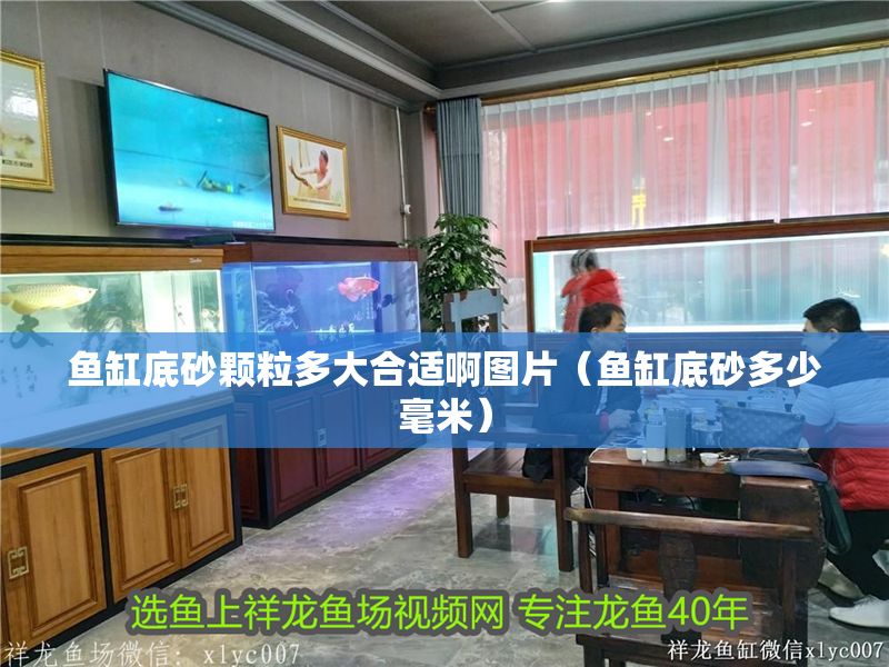 魚缸底砂顆粒多大合適啊圖片（魚缸底砂多少毫米）