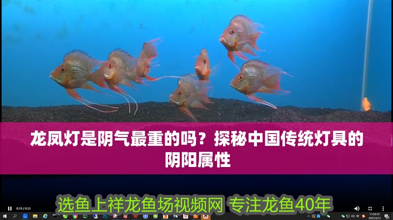 龍鳳燈是陰氣最重的嗎？探秘中國傳統燈具的陰陽屬性