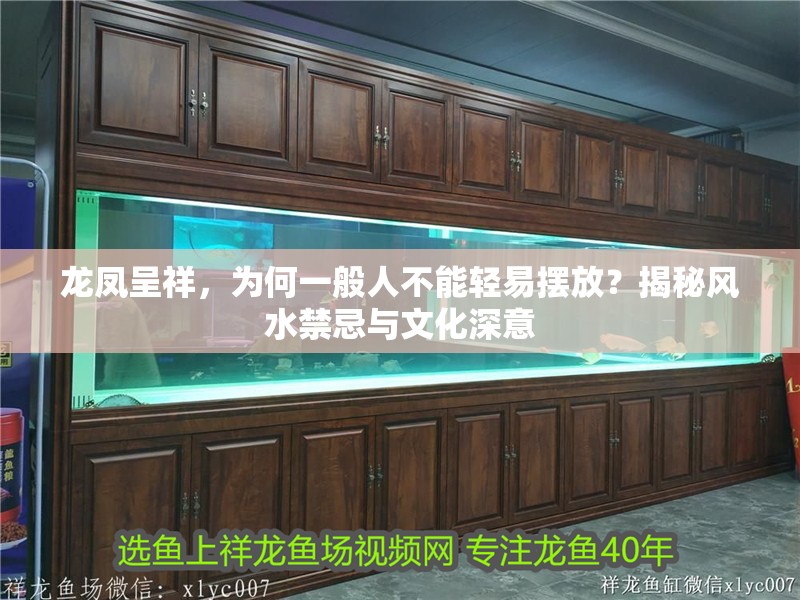 龍鳳呈祥，為何一般人不能輕易擺放？揭秘風水禁忌與文化深意 龍鳳呈祥，為何一般人不能輕易擺放？揭秘風水禁忌與文化深意 龍魚百科 第1張