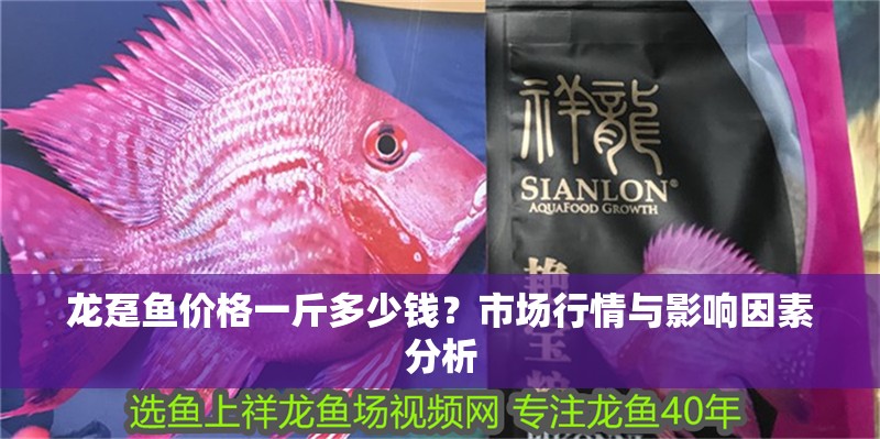 龍躉魚價格一斤多少錢？市場行情與影響因素分析