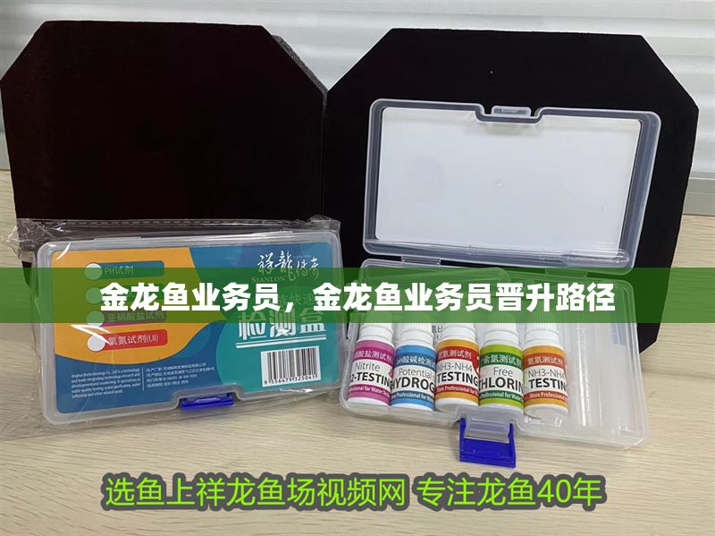 金龍魚業務員，金龍魚業務員晉升路徑