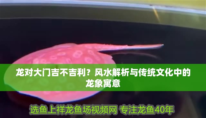 龍對大門吉不吉利？風(fēng)水解析與傳統(tǒng)文化中的龍象寓意