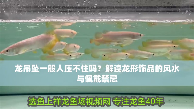 龍吊墜一般人壓不住嗎？解讀龍形飾品的風水與佩戴禁忌