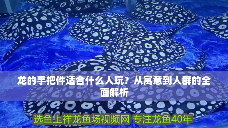 龍的手把件適合什么人玩？從寓意到人群的全面解析