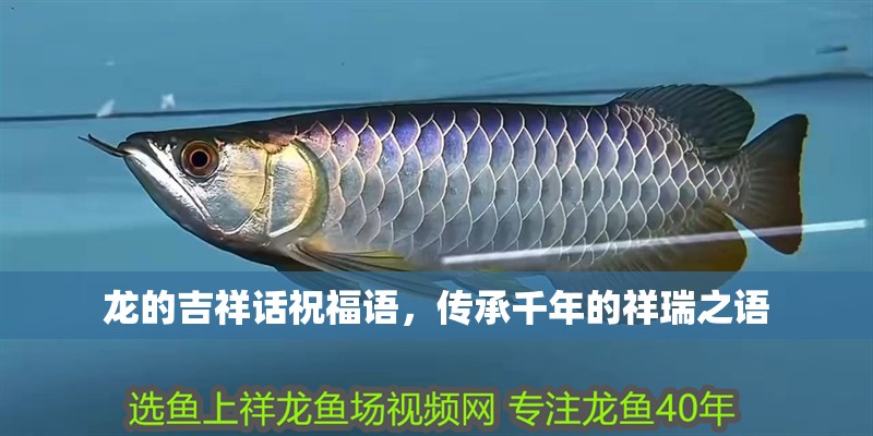 龍的吉祥話祝福語，傳承千年的祥瑞之語