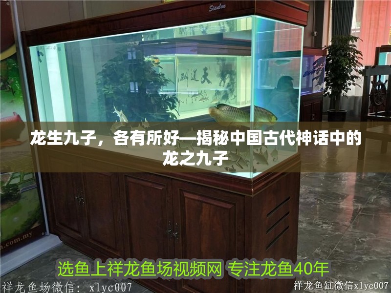 龍生九子，各有所好—揭秘中國(guó)古代神話(huà)中的龍之九子