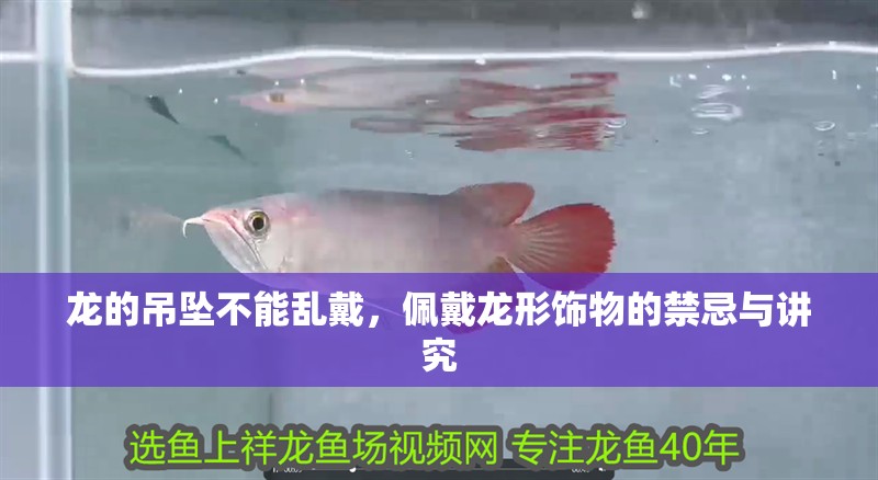 龍的吊墜不能亂戴，佩戴龍形飾物的禁忌與講究