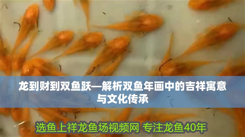 龍到財到雙魚躍—解析雙魚年畫中的吉祥寓意與文化傳承