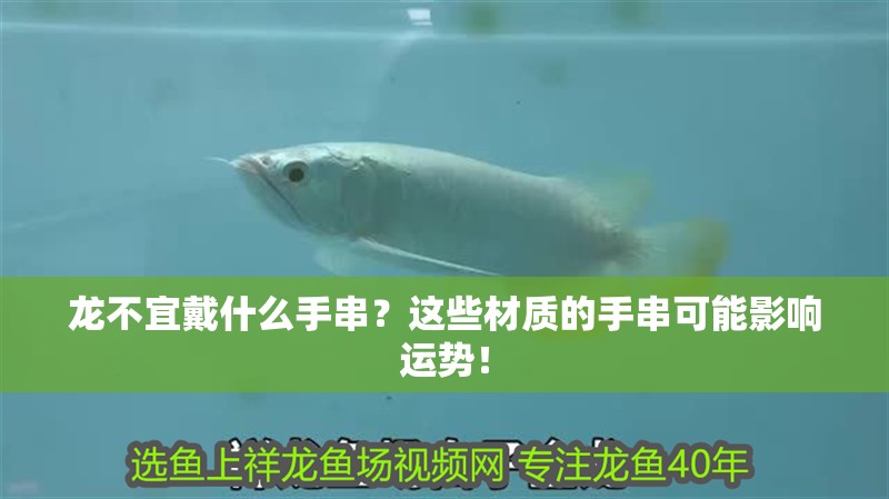 龍不宜戴什么手串？這些材質(zhì)的手串可能影響運勢！ 龍不宜戴什么手串？這些材質(zhì)的手串可能影響運勢！ 龍魚百科 第1張