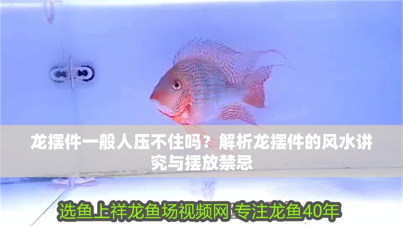 龍擺件一般人壓不住嗎？解析龍擺件的風水講究與擺放禁忌