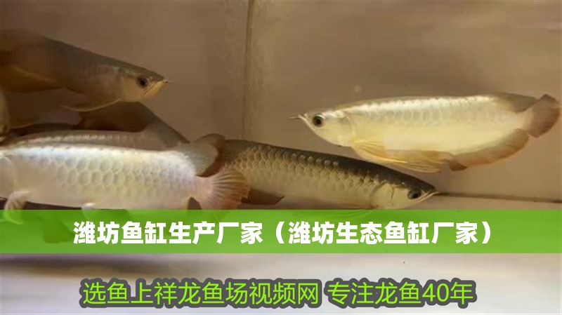 濰坊魚缸生產(chǎn)廠家（濰坊生態(tài)魚缸廠家）
