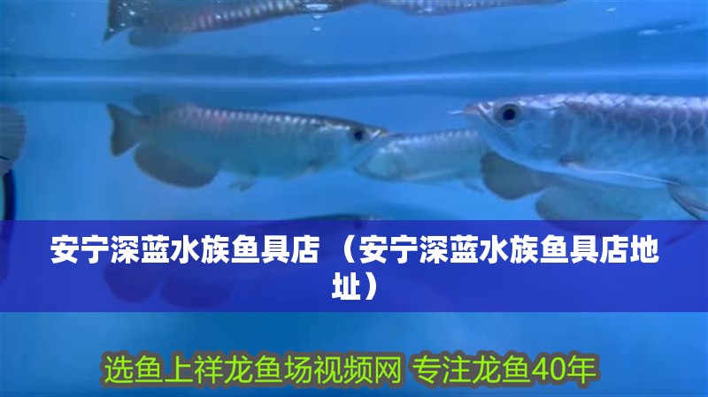 安寧深藍水族魚具店 （安寧深藍水族魚具店地址）