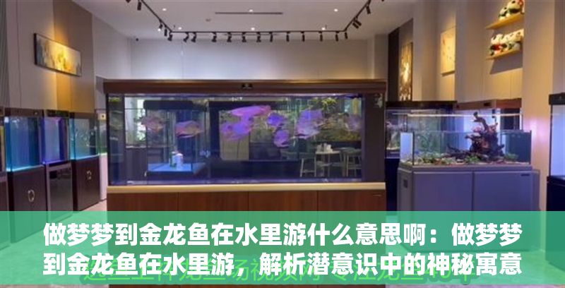 做夢夢到金龍魚在水里游什么意思啊：做夢夢到金龍魚在水里游，解析潛意識中的神秘寓意