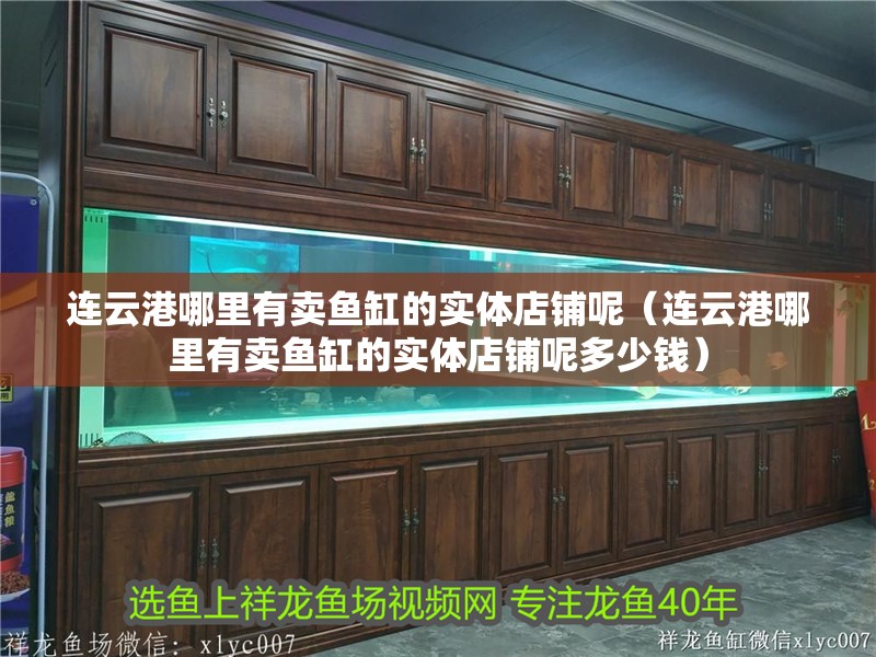 連云港哪里有賣魚缸的實體店鋪呢(連云港哪里有賣魚缸的實體店鋪呢多少錢) 全國水族館企業(yè)名錄 第1張 連云港哪里有賣魚缸的實體店鋪呢(連云港哪里有賣魚缸的實體店鋪呢多少錢) 連云港哪里有賣魚缸的實體店鋪呢(連云港哪里有賣魚缸的實體店鋪呢多少錢) 全國水族館企業(yè)名錄 第1張