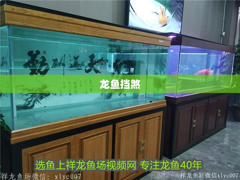 龍魚擋煞
