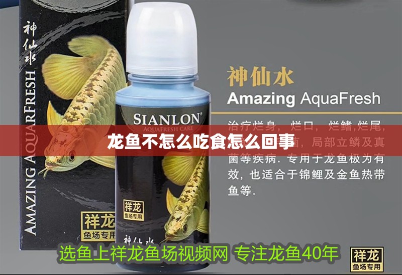 龍魚(yú)不怎么吃食怎么回事 龍魚(yú)不怎么吃食怎么回事 龍魚(yú)百科 第1張