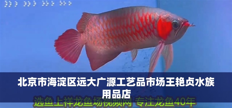 北京市<strong><mark>海淀</mark></strong>區遠大廣源工藝品市場王艷貞水族用品店