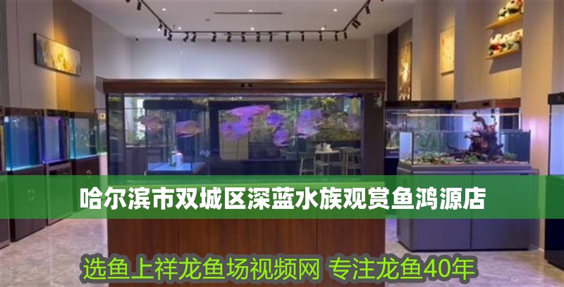 哈爾濱市雙城區深藍水族觀賞魚鴻源店