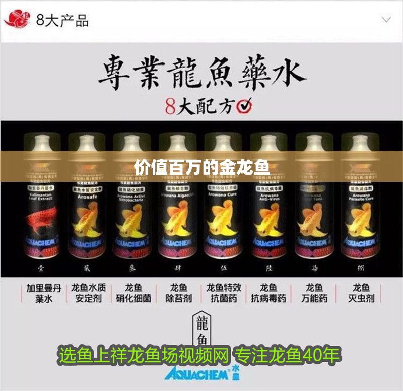 價(jià)值百萬(wàn)的金龍魚(yú)