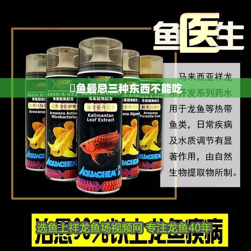 鲹魚(yú)最忌三種東西不能吃