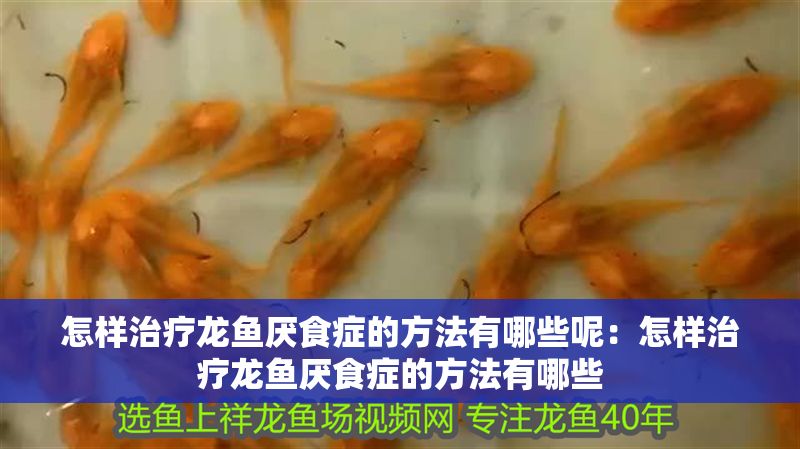 怎樣治療龍魚厭食癥的方法有哪些呢：怎樣治療龍魚厭食癥的方法有哪些