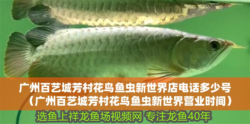 廣州百藝城芳村花鳥魚蟲新世界店電話多少號（廣州百藝城芳村花鳥魚蟲新世界營業時間）
