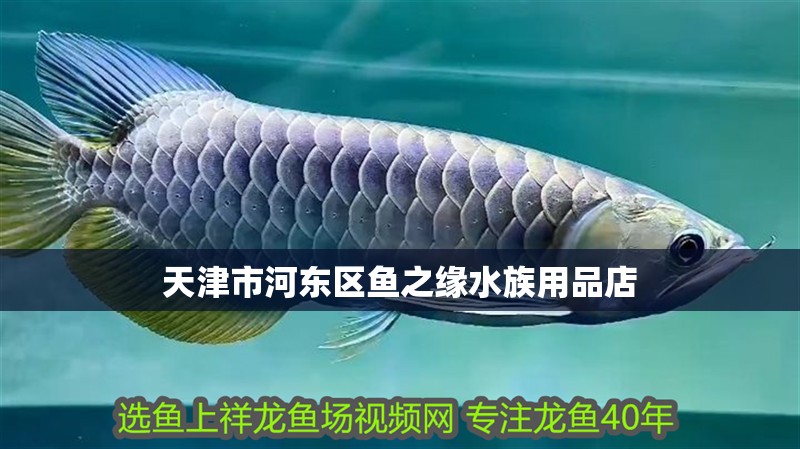 天津市河東區魚之緣水族用品店