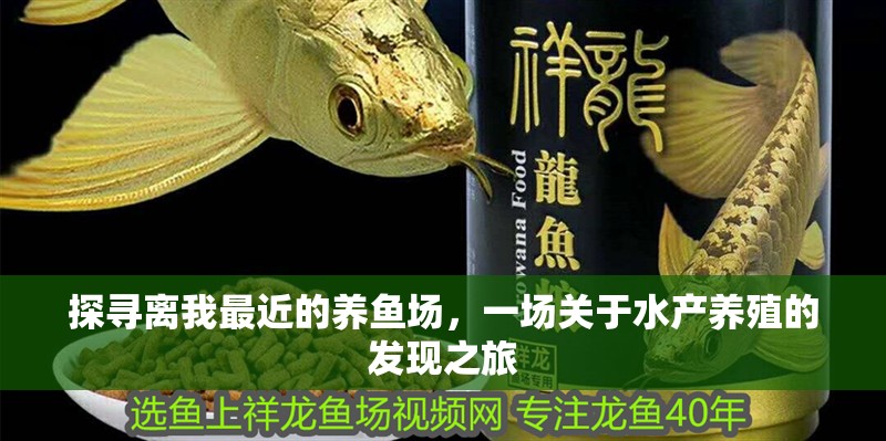 探尋離我最近的養(yǎng)魚場，一場關(guān)于水產(chǎn)養(yǎng)殖的發(fā)現(xiàn)之旅 探尋離我最近的養(yǎng)魚場，一場關(guān)于水產(chǎn)養(yǎng)殖的發(fā)現(xiàn)之旅 龍魚百科 第1張