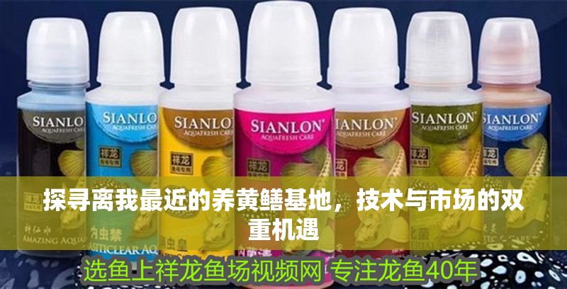 探尋離我最近的養黃鱔基地，技術與市場的雙重機遇