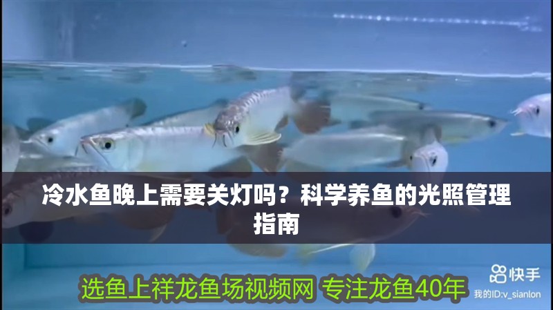 冷水魚晚上需要關燈嗎?科學養魚的光照管理指南 龍魚百科 第1張 冷水魚晚上需要關燈嗎?科學養魚的光照管理指南 冷水魚晚上需要關燈嗎?科學養魚的光照管理指南 龍魚百科 第1張