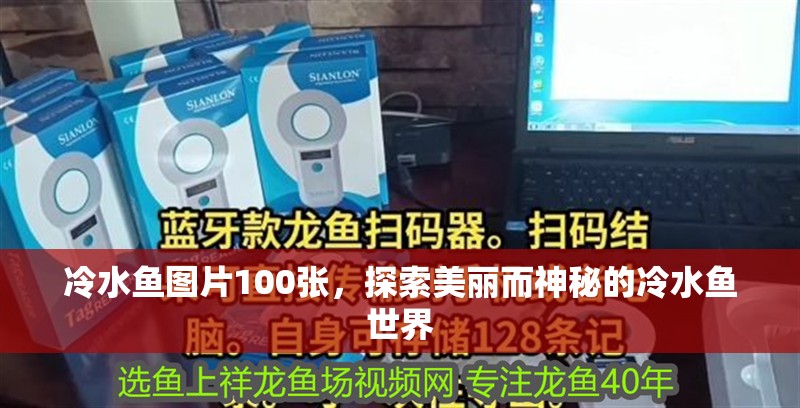 冷水魚圖片100張，探索美麗而神秘的冷水魚世界 冷水魚圖片100張，探索美麗而神秘的冷水魚世界 龍魚百科 第1張