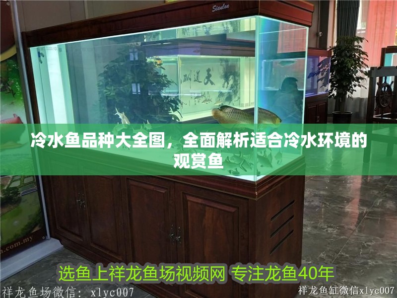 冷水魚品種大全圖，全面解析適合冷水環境的觀賞魚
