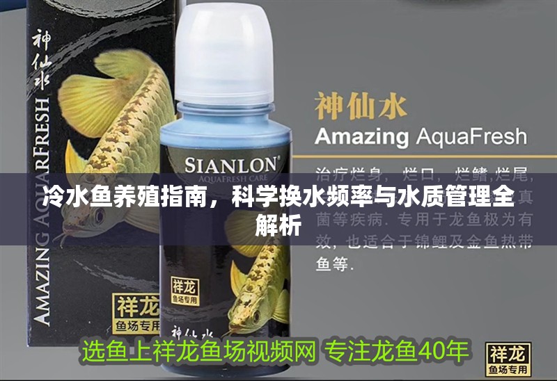 冷水魚養殖指南，科學換水頻率與水質管理全解析