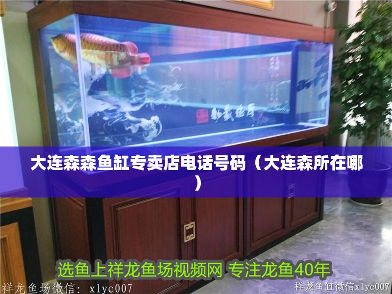 大連森森魚缸專賣店電話號碼（大連森所在哪）