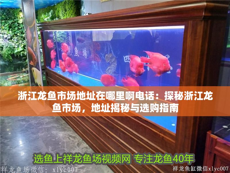 浙江龍魚市場地址在哪里啊電話：探秘浙江龍魚市場，地址揭秘與選購指南