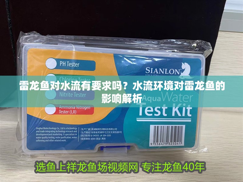 雷龍魚對水流有要求嗎？水流環(huán)境對雷龍魚的影響解析