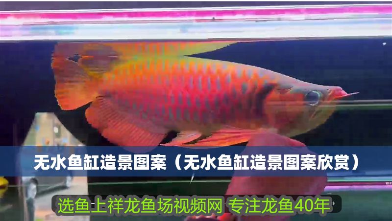 無水魚缸造景圖案（無水魚缸造景圖案欣賞）