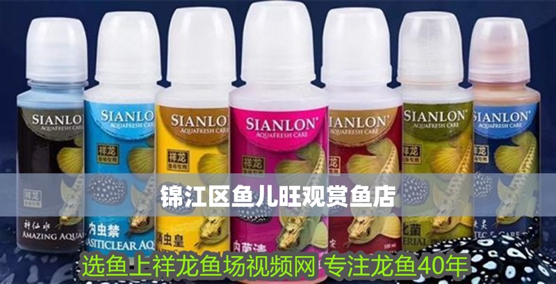 錦江區魚兒旺觀賞魚店