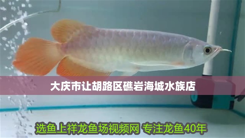 大慶市讓胡路區(qū)礁巖海城水族店
