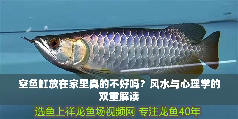 空魚缸放在家里真的不好嗎？風水與心理學的雙重解讀 空魚缸放在家里真的不好嗎？風水與心理學的雙重解讀 龍魚百科 第1張