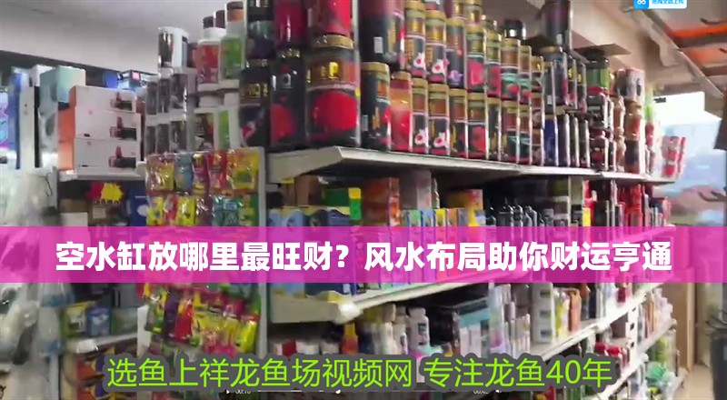 空水缸放哪里最旺財？風(fēng)水布局助你財運亨通