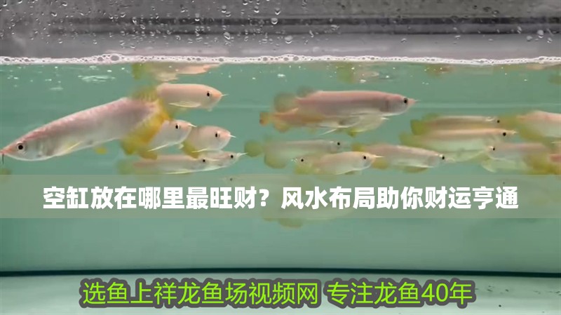 空缸放在哪里最旺財？風(fēng)水布局助你財運亨通